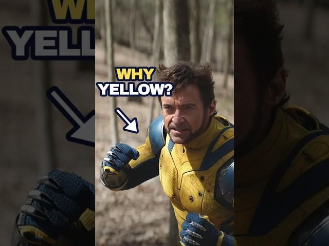 Wolverine - Why Yellow Costume?