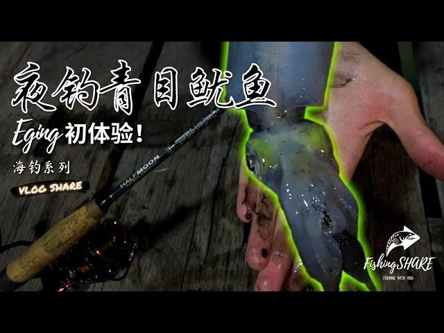 【FishingShare】夜钓青目鱿鱼！Eging初体验|海钓系列|NIGHT FISHING for BIG FIN REEF SQUID!