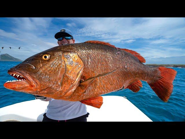 6 Days at SEA for Once in Lifetime Catch! GIANT Cubera Snapper (Catch Clean Cook)