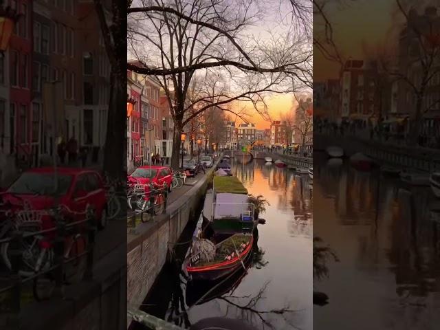 Beautiful view of Netherlands  #shorts #viral #shortvideo #shortsvideo
