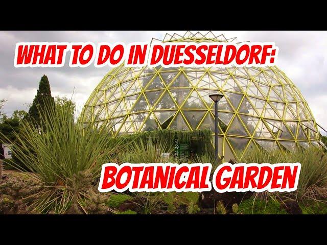 Top Sightseeing Spots Duesseldorf: Botanical Garden (english)