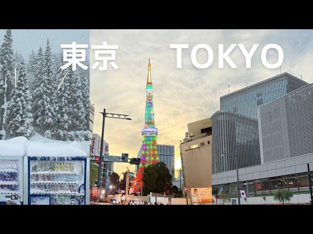 Christmas in Tokyo + Gala Yuzawa snow experience & GranClass shinkansen