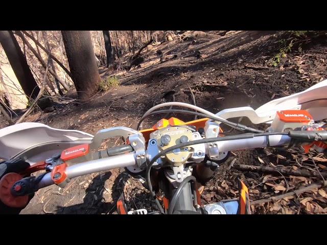 FIRELINE | Burned Forest Singletrack