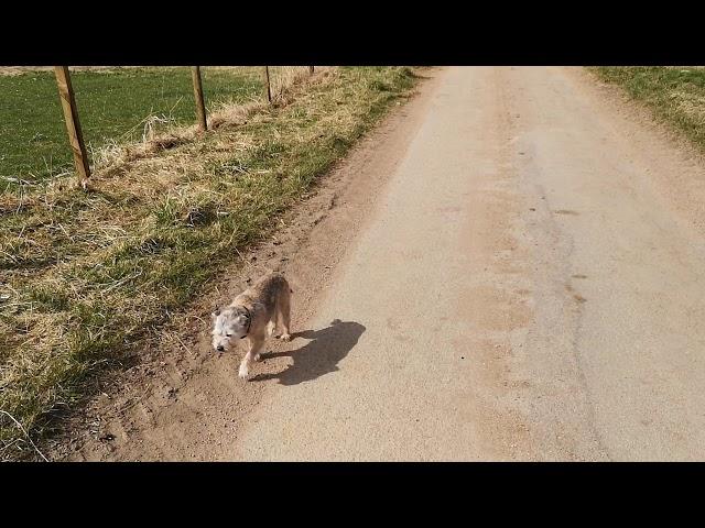 Name that tune with Paul Anderson; walking in the Howe o' Cromar.