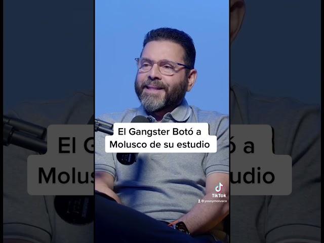 El Gangster botó a Molusco de su estudio en MEGA #shorts #moluscotv #molusco
