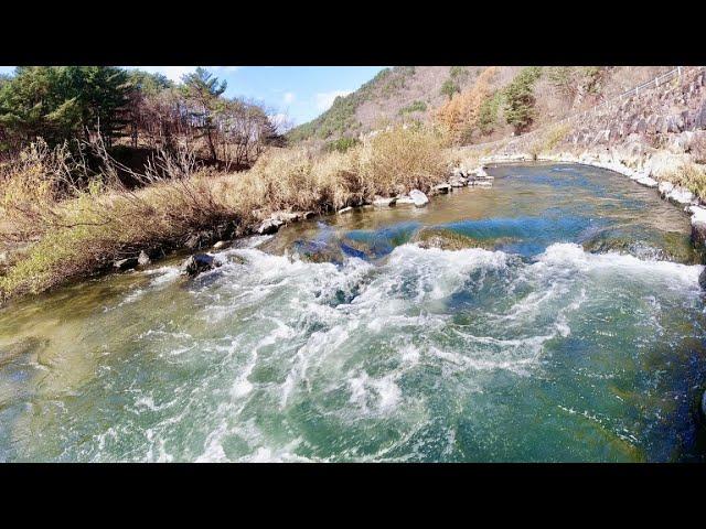 강원도 횡성부동산 평창강 금당계곡 평창토지매매 [강원도 평창군 용평면부동산] #횡성이수부동산매물