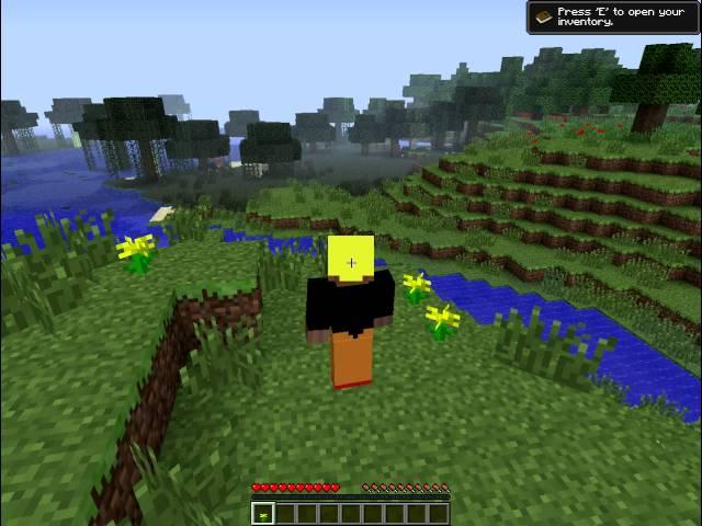 Minecraft new skin