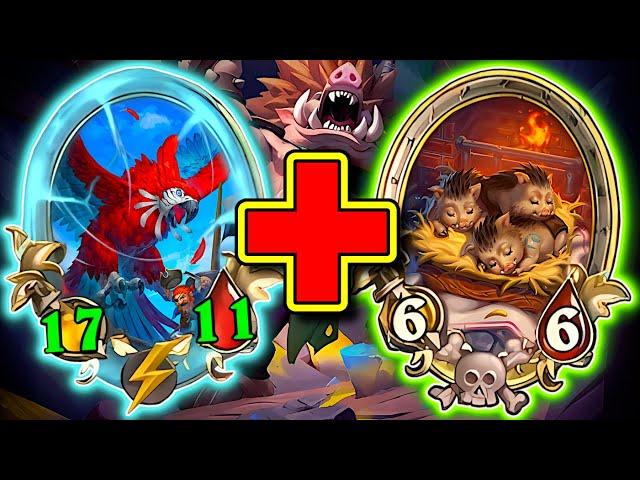 The NEW Quilboar Strategy! | Hearthstone Battlegrounds