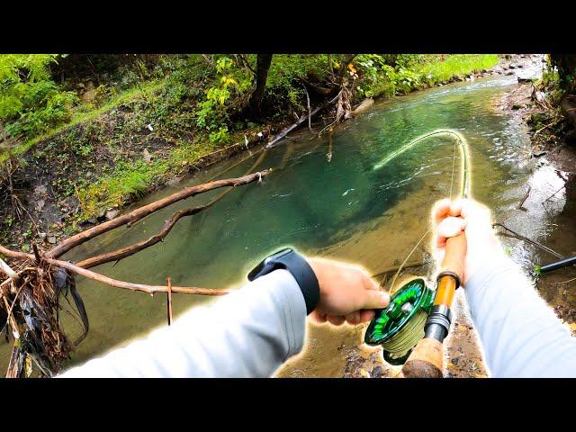 Catching HUGE Brown Trout In Small Creeks!