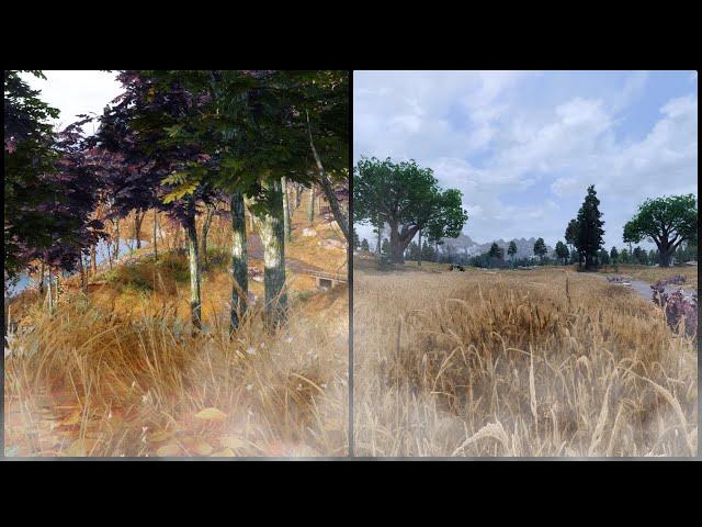 Skyrim Pre Cache Grass & dyndolod 3.0 Grass Lod Tutorial | NO Fading Grass And Awesome Distant Grass