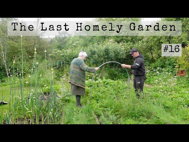 Transforming my Overgrown Messy Garden with Ant! #16