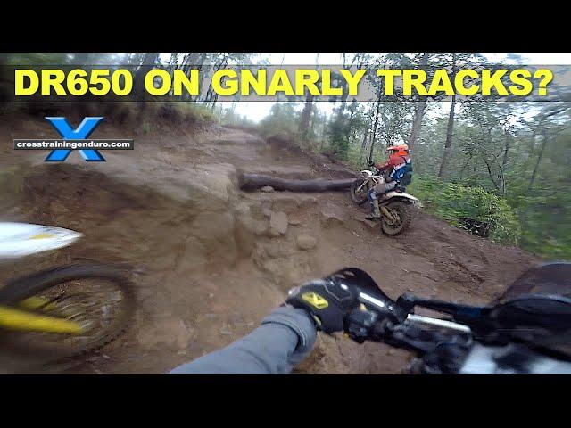 Suzuki DR650 on gnarly enduro tracks? ︱Cross Training Adventure