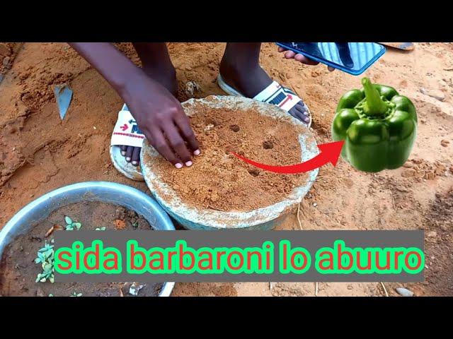 sidee loo abuura barbarooni| macalin cabdi Malik