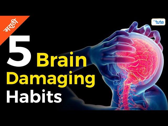 5 Brain Damaging Habits | How to Increase your Brain Power | (मराठी) | Letstute