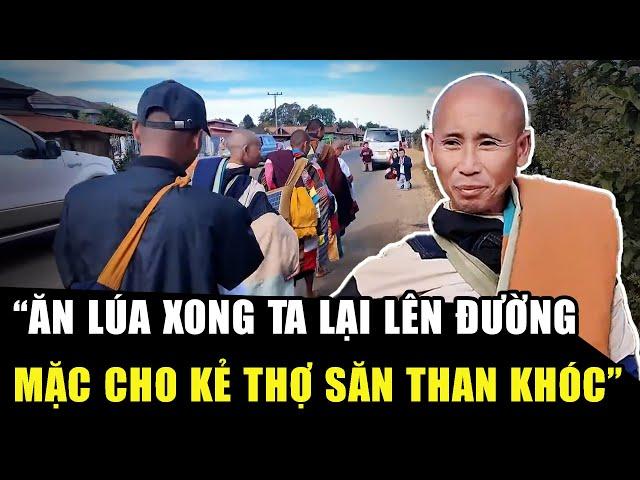 LÝ GIẢI CÂU NÓI của Sư Minh Tuệ “ĂN LÚA XONG TA LẠI LÊN ĐƯỜNG, MẶC CHO KẺ THỢ SĂN THAN KHÓC” | HP