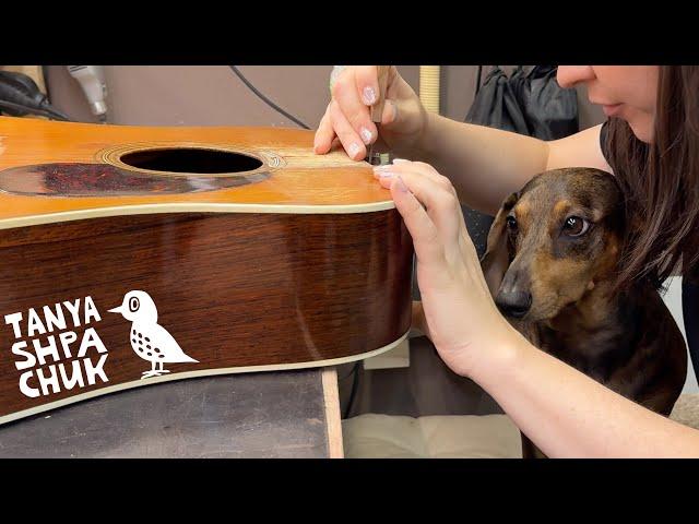 A Young Girl and a Small Dog Do a Neck Reset on an Old Guitar