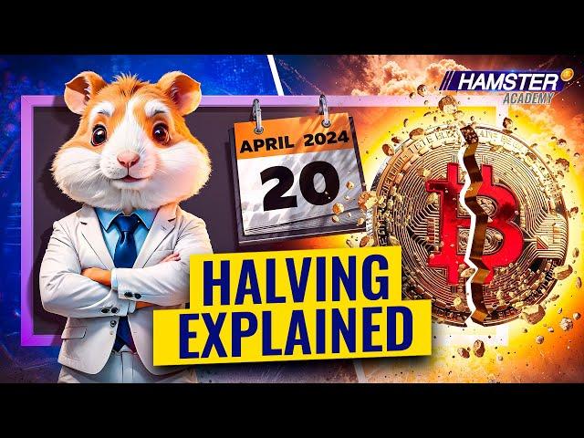 Breaking Down Bitcoin's Halving: What You Need to Know Hamster Academy