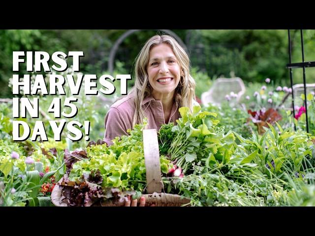 21 Vegetables to Plant in September!