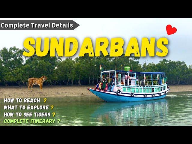 Sundarban Tour | Sundarban Vlog | Sundarban Tour Package Hindi | Sundarban Delta #sundarban