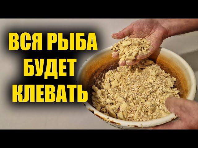 Прикормка для ловли всей крупной рыбы своими руками. Авторская прикормка для рыбалки, видео рецепт