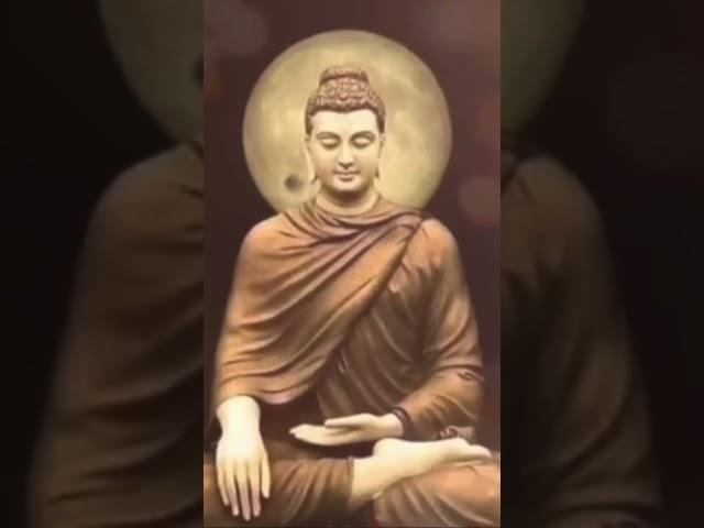 Hãy mau thức tỉnh tu hành làm lành lánh dữ