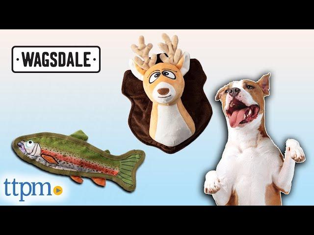 The Great Outdoors Plush Dog Toys from Wagsdale Review!