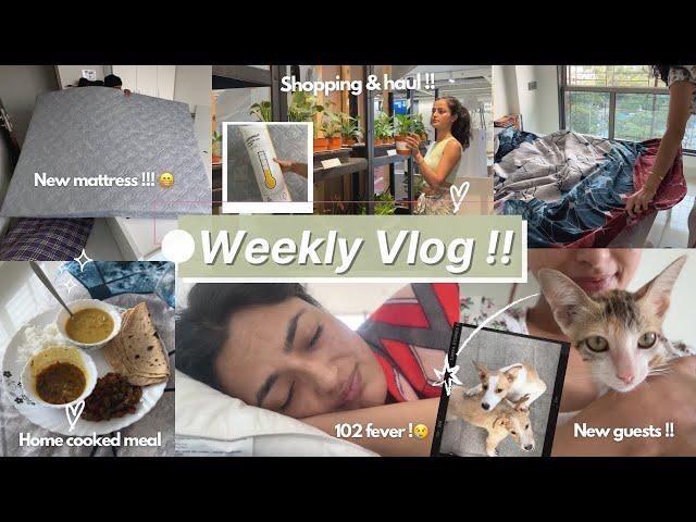 WEEKLY VLOG  managing things, got sick, new guests + mini ikea haul ! Moving ep4