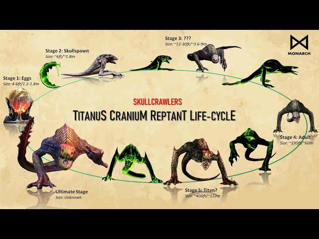 All Different Stages of a Skullcrawler's LIFE CYCLE - Egg to Titan