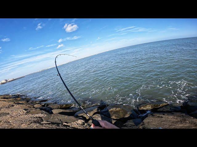 Jetty Tautog Fishing : Tips, Techniques, & Big Catches