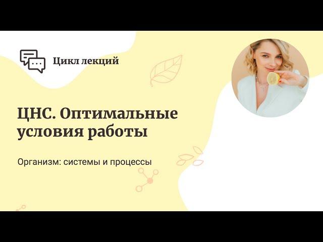 ЦНС. Оптимальные условия работы