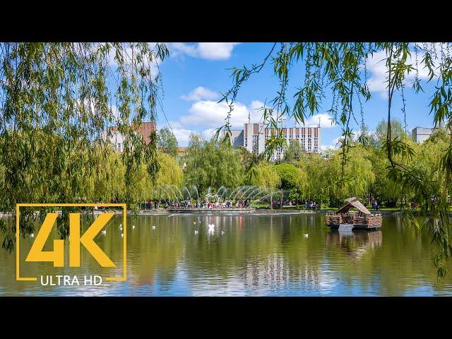 City Life of Rivne, Ukraine - 4K Urban Travel Film - European Cities