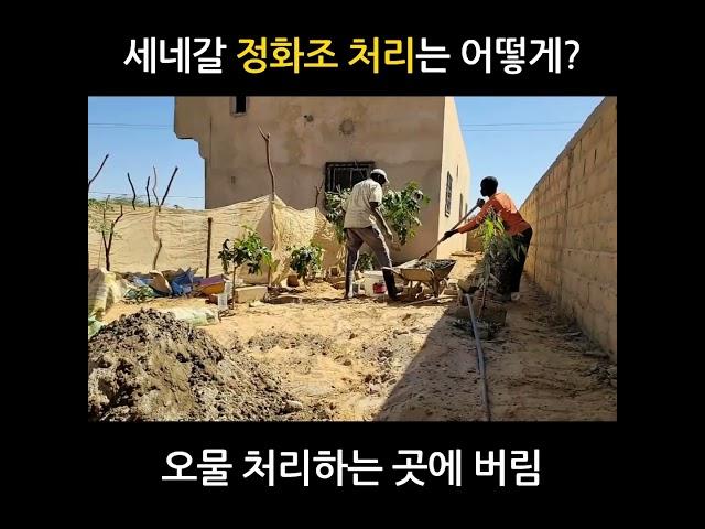 아프리카 세네갈. 정화조 처리 방식은? #새마을_세네갈