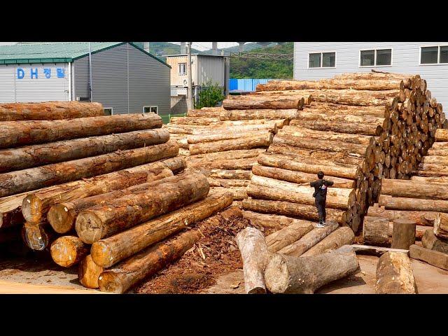 Wooden Furniture Mass Production Factory. Wood Couch Manufacturing Process.