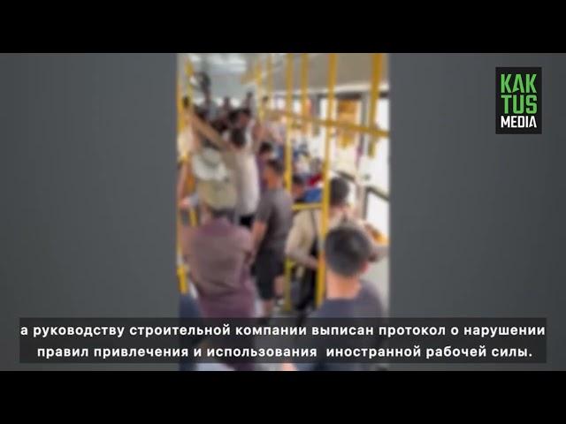 Задержаны иностранцы за организацию незаконной миграции