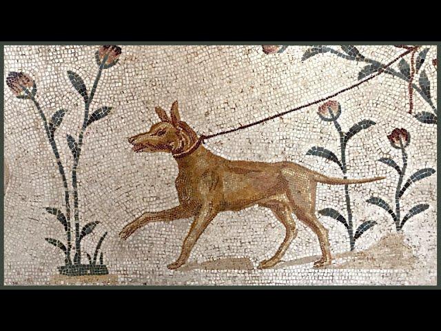 Do Roman dog breeds still exist?