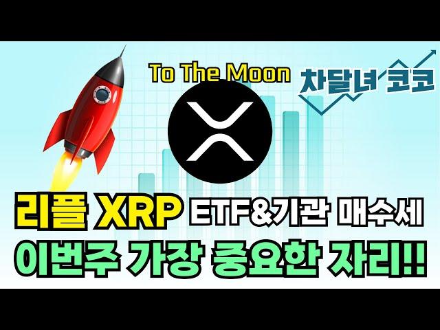 리플 XRP, ETF 기대감+기관투자자유입, 이번주 가장 중요한 자리! | 차달녀코코