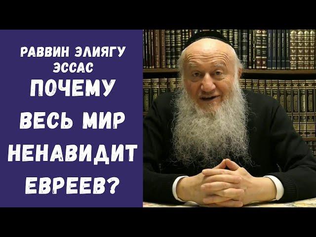 Почему весь мир ненавидит евреев? | раввин Элиягу Эссас