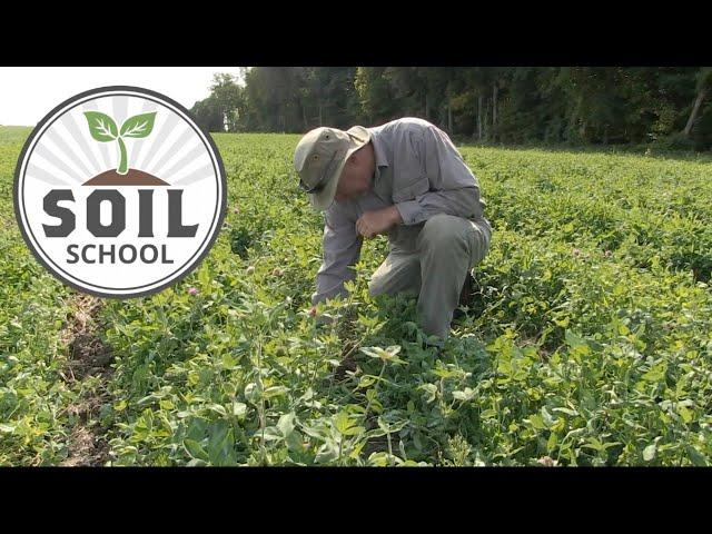 Soil School: Ideas and Innovation with Woody Van Arkel