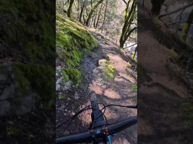 Choosing Poor line choices  #mtb#bad #actioncamera