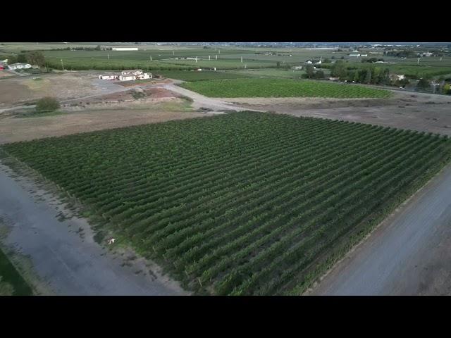 Drone evening cruise 8 19 24