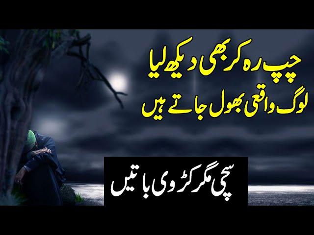 Islamic Urdu Quote | Emotional words in urdu | Most Beautiful quotes in hindi