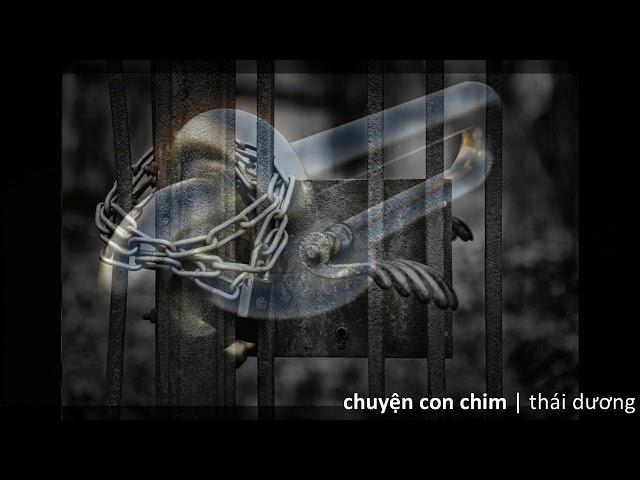 CHUYỆN ĐÊM KHUYA DÀNH CHO NGƯỜI LỚN | Chuyện Con Chim - Thầy Giáo 9x Nguyễn Thái Dương