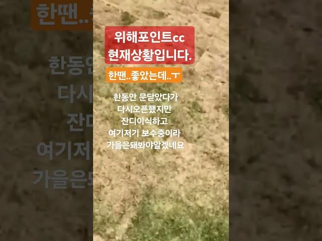 전설의골프장 #웨이하이포인트cc (위해포인트) #위해골프 #중국골프