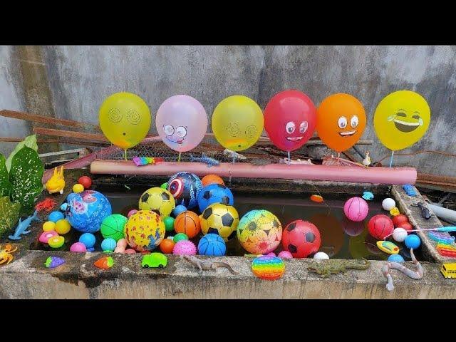 Wow !! Popping Ballons, Menemukan Bola Dan Balon Di Kolam ,Memancing Ikan Mainan, Bola Warna Warni