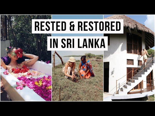 FINALLY BACK TO SRI LANKA! | Wellness Travel Vlog | CAT MEFFAN