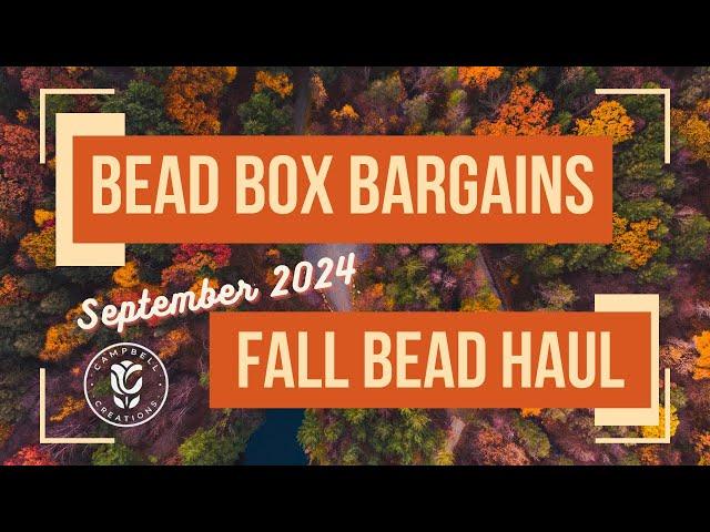 Bead Box Bargains FALL HAUL!!! Ordered Sept 13th. Received Sept 20th