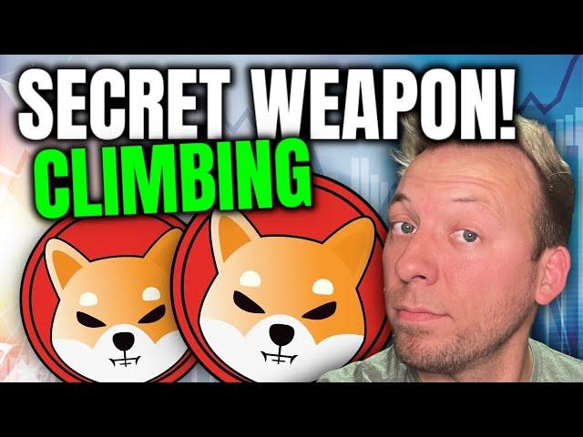 SHIBA INU - SHIB'S SECRET WEAPON!!! THIS IS CLIMBING!