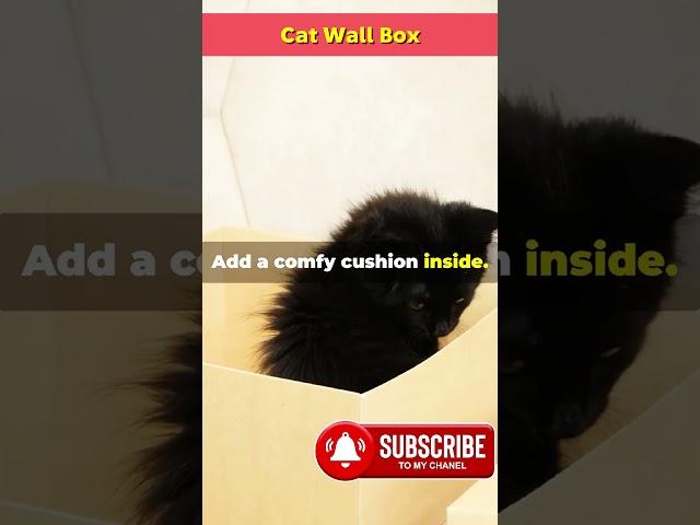 DIY Cat Wall Box!