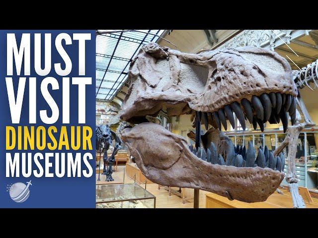 Top 10 Best Dinosaur Museums in the World 2024