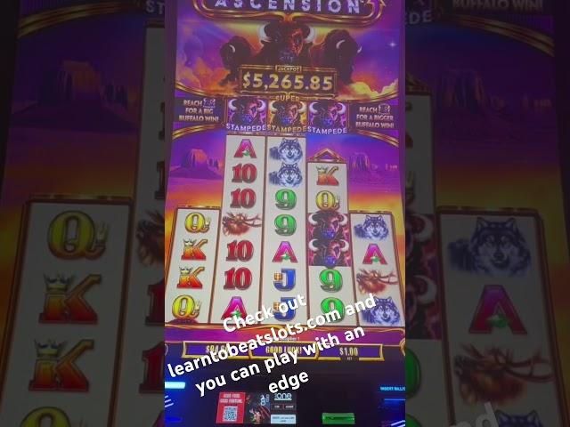 Gambling Guru with 20 Years Experience Shares Slot Machine Secrets